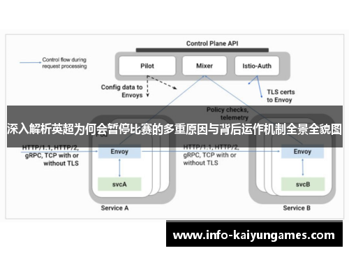 深入解析英超为何会暂停比赛的多重原因与背后运作机制全景全貌图